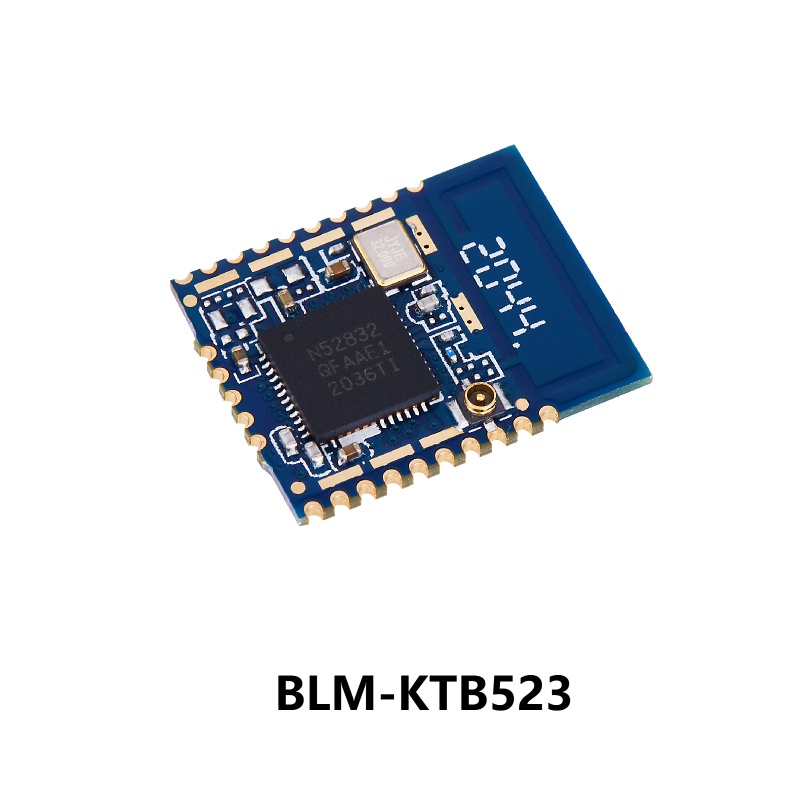 Long Range nRF52832 Bluetooth 5.0 Low Energy Module