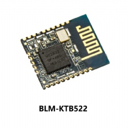 Small Nordic nRF52832 BLE 5.0 Bluetooth SoC module